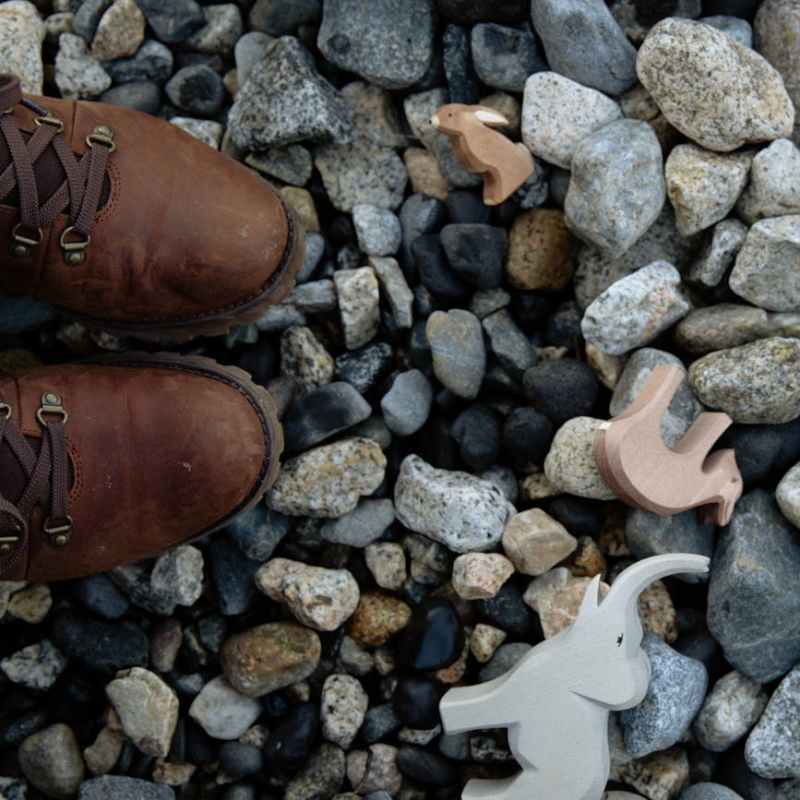 Las piedras en el zapato